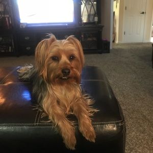 Meet your Posher, Anna